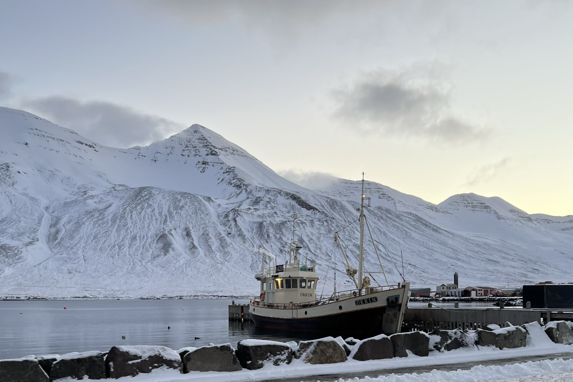 Det er flere virksomheter innen fiskeindustrien, som fryserier og sildeoljefabrikker, i Siglufjörður. (Foto: Privat).