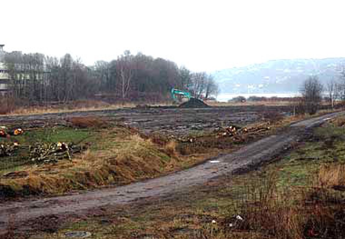 Torsvika bebygges